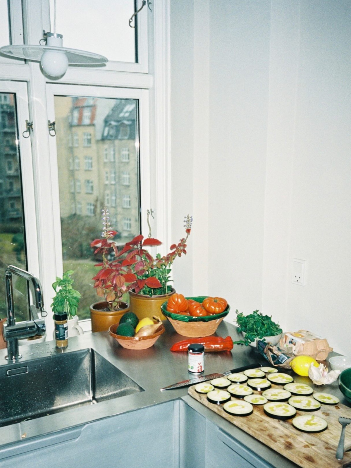 Cut out vegetables on countertop