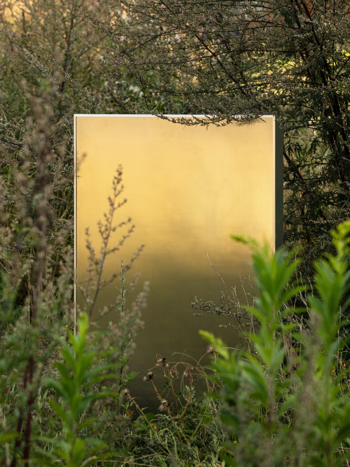 REFLECT front i naturen