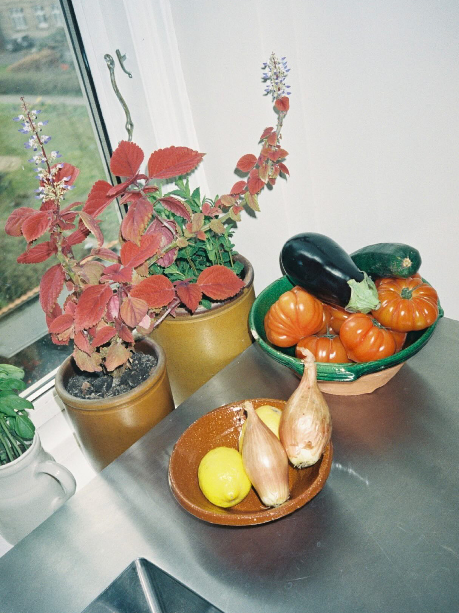 Bowls with vegetables
