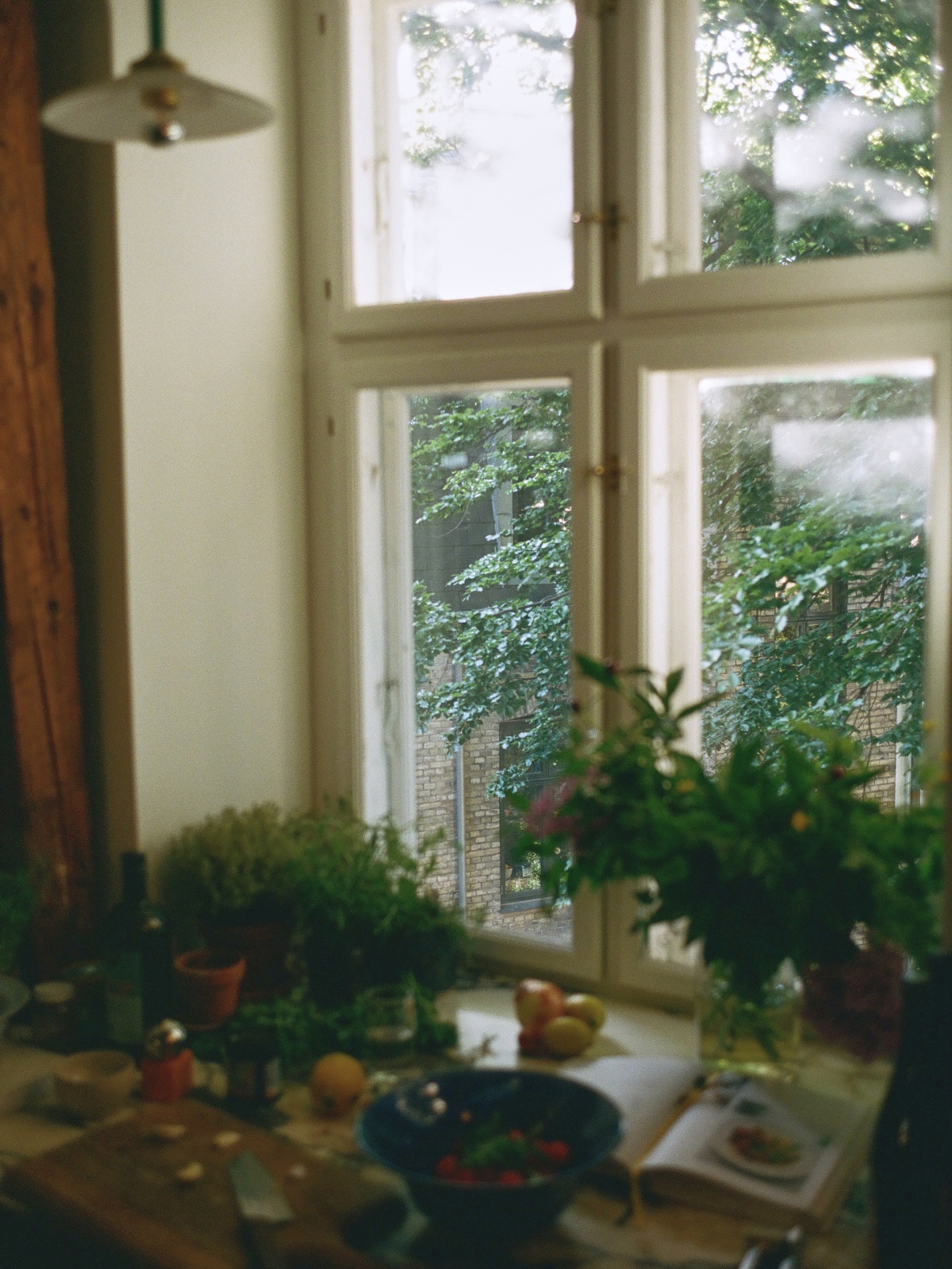 Kitchen window