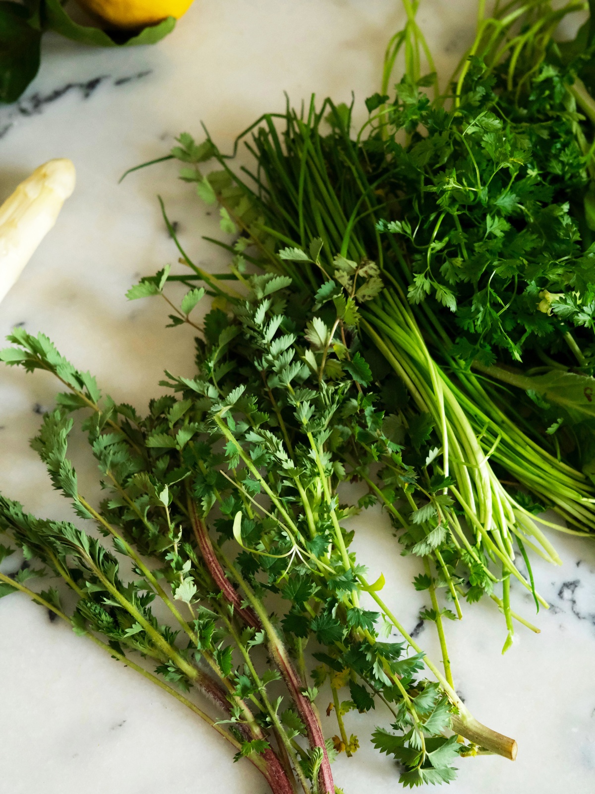 Different herbs